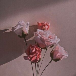 Meet your Posher, Natalia